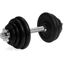 VIRTUFIT Cast Iron Jednoručná nakladacia činka 1 x 15 kg