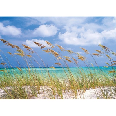 Komar 8-515 fototapeta Ocean Breeze rozmer 368 cm x 254 cm