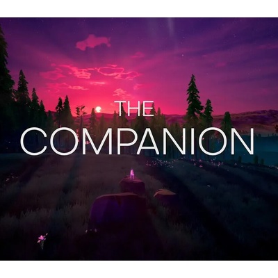 The Companion