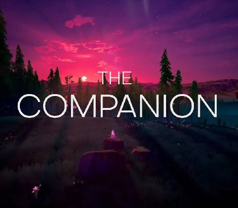 The Companion