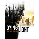 Hry na PC Dying Light (Platinum)