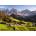 Ravensburger - Puzzle Dolomites in Autumn - 1 000 piese