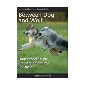 Between Dog and Wolf | Andrew Miller, Jessica Addams (ISBN: 9781617812811)
