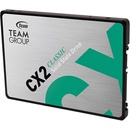 Team Group CX2 1TB, T253X6001T0C101