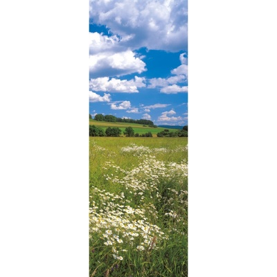 Komar Vliesová fototapeta Meadow rozměry 100 x 280 cm
