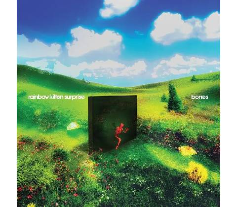 Rainbow Kitten Surprise - Bones CD