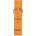 Briston Каишка Briston NS20. MA (NS20.MA)