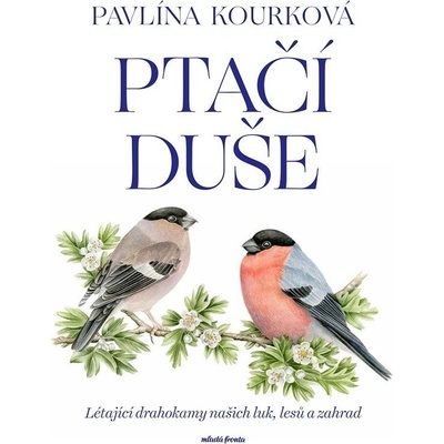 Ptačí duše - Pavlína Kourková