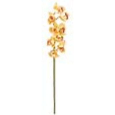 Orchidej větvička, žlutá, 90 cm