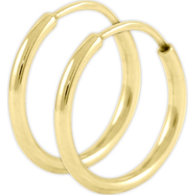 Soliter Zlaté náušnice kruhy 231 001 00333