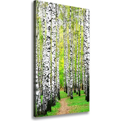 Vertikálny foto obraz canvas Brezový les 50x100 cm