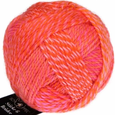 Schoppel Wolle Stärke 6 Brüder 2705 Gerhard