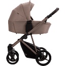 Bebetto Pelpasso 2 in 1