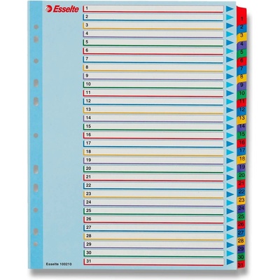 Esselte Mylar Maxi - papírový rozlišovač - 31 listů A4