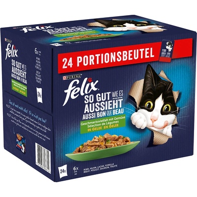 Felix Fantastic 24 x hovädzie a mrkva kura a paradajky losos a cuketa pstruh a zelené fazuľky 85 g