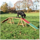 Trixie Agility lávka 456 x 64 x 30 cm do 80kg