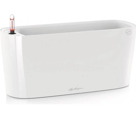 Lechuza 15560