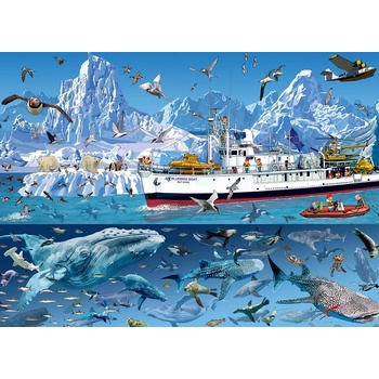 Image 1 of Bluebird Puzzle - Puzzle François Ruyer - Arctic - Bluebird Boat - 1 500 piese