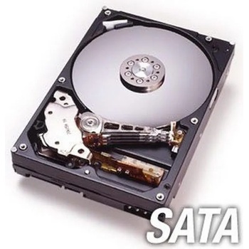 Seagate 500GB 16MB 7200rpm SATA2 (ST3500418AS)