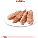 Royal Canin Exigent 12 x 85 g