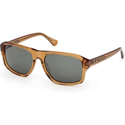 Web Eyewear WE0393 39N (WE0393 39N)