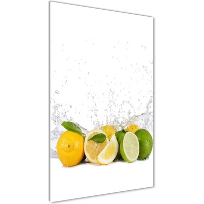 Vertikálny foto obraz fotografie na skle Citrusy 50x100 cm