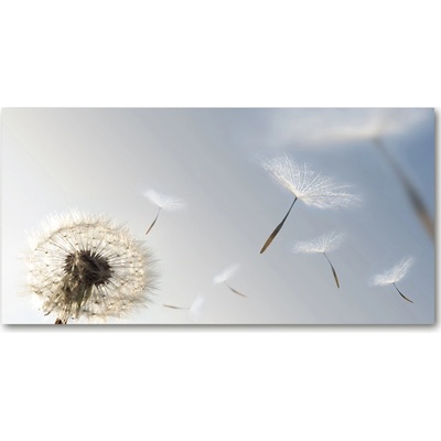 Foto obraz fotografie na skle púpava 100x50 cm