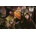 Educa - Puzzle Harry Potter MINI II - 1 000 piese