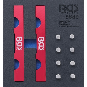 BGS BS6689