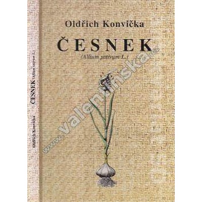 Česnek Allium sativum L. - Martin Konvička