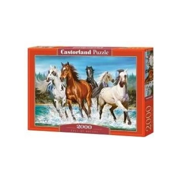 Castorland Puzzle 2000 pcs. Call of nature
