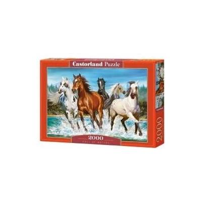 Castorland Puzzle 2000 pcs. Call of nature