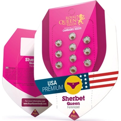 Royal Queen Seeds Sherbet Queen semena neobsahují THC 3 ks