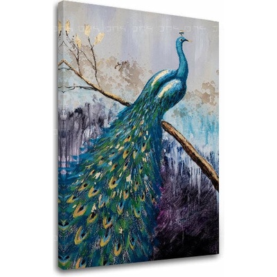 Obraz na plátne PÁV - 60x90 cm