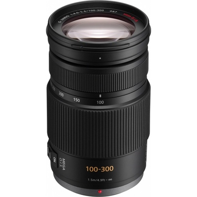 Panasonic 100-300mm f/4-5,6 Mega O.I.S.