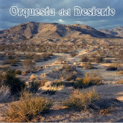 Orquesta Del Desierto - Orquesta Del Desierto LP