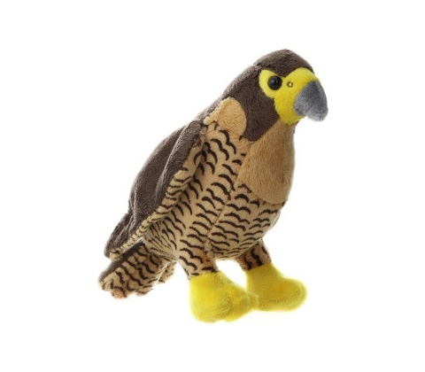 Sokol