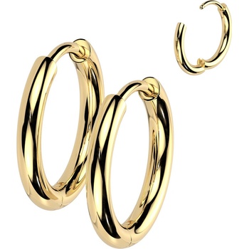 Steel Edge Titanové náušnice krúžky SETRH01-8 Zlata