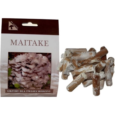 PLANTO Maitake-trsnatec lupenitý (Grifola frondosa) 20 ks - podhoubí na kolících PO-MAI-20KS