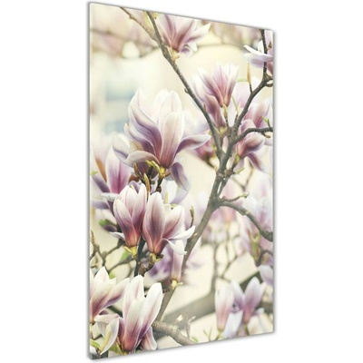 Vertikálny fotoobraz na skle Magnolie 50x100 cm