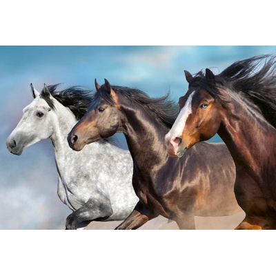 DIMEX ART Флизелинов фототапет портрет на кон 375 x 250 см