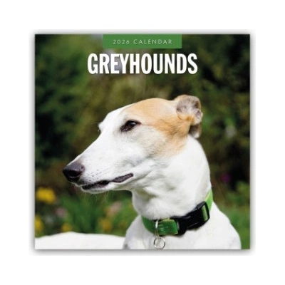 Browntrout Verlags GmbH Greyhound - Windhund 2026 - 16-Monatskalender | Red Robin