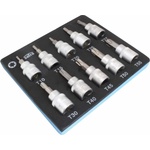 SATRA Пенопластова вложка Torx T10-T55 10 бр 18318 (S-H138NT)
