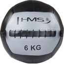 HMS Wall ball 6 kg