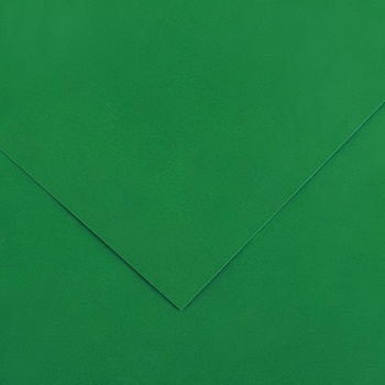 Canson Vivaldi 50x65 cm Moss Green 30 240 g Цветна хартия (C200040383)