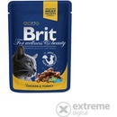 Brit Premium Cat Chicken & Turkey 24 x 100 g