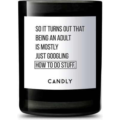 Candly - Ароматна соева свещ So it turns out that being an adult is mostly just googling how to do stuff 250 g (No2SIT)