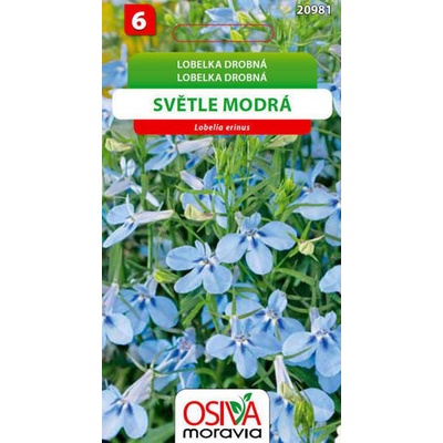 Semínka Lobelka drobná světle modrá (Lobelia erinus)