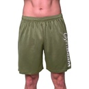 GymBeam Šortky Mesh Essence Green