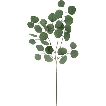 KS EUCALYPTUS POPULUS 77CM